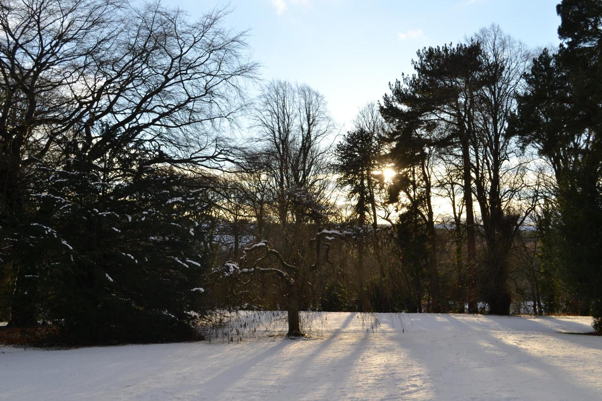 Burnhopeside Hall Lanchester Room photo