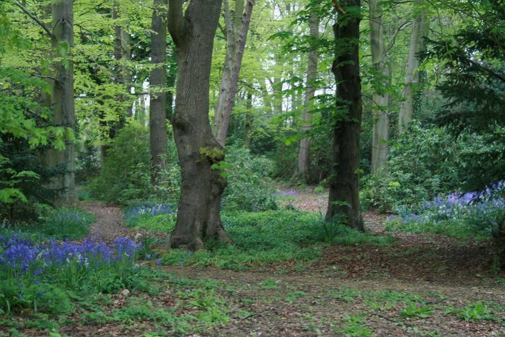 Burnhopeside Hall Lanchester Exterior photo